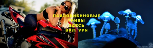 а пвп мука Алапаевск