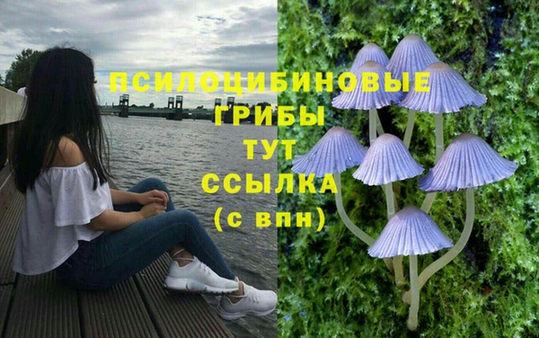 мескалин Коряжма