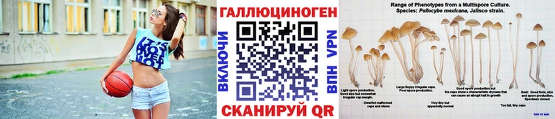 Галлюциногенные грибы прущие грибы  Кяхта 